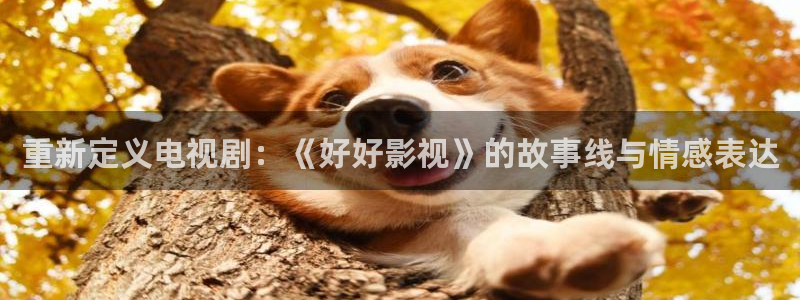 酷客影院免费观看：重新定义电视剧：《好好影视》的故事线与情感表达