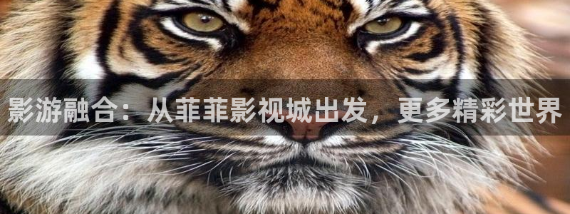 酷客免费影院在线播放：影游融合：从菲菲影视城出发，更多精彩世界