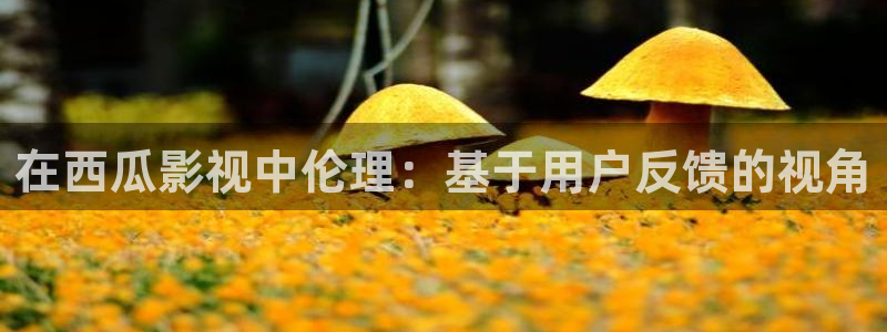 酷客新影视：在西瓜影视中伦理：基于用户反馈的视角