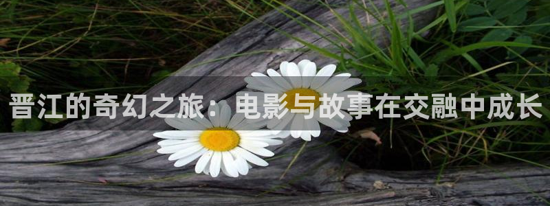 酷客影院hd免费观看：晋江的奇幻之旅：电影与故事在交融中成长