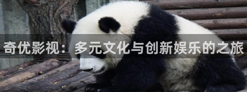 酷客影院首页电视剧：奇优影视：多元文化与创新娱乐的之旅