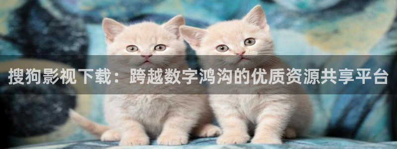 酷客影院的：搜狗影视下载：跨越数字鸿沟的优质资源共享平台