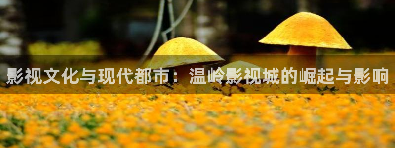 善良的女老板酷客影院：影视文化与现代都市：温岭影视城的崛起与影响