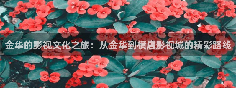 酷客影院在线电视剧：金华的影视文化之旅：从金华到横店影视城的精彩路线
