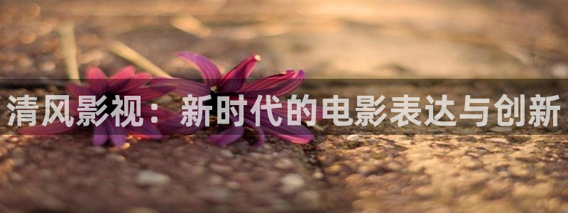 酷客影院理论片：清风影视：新时代的电影表达与创新